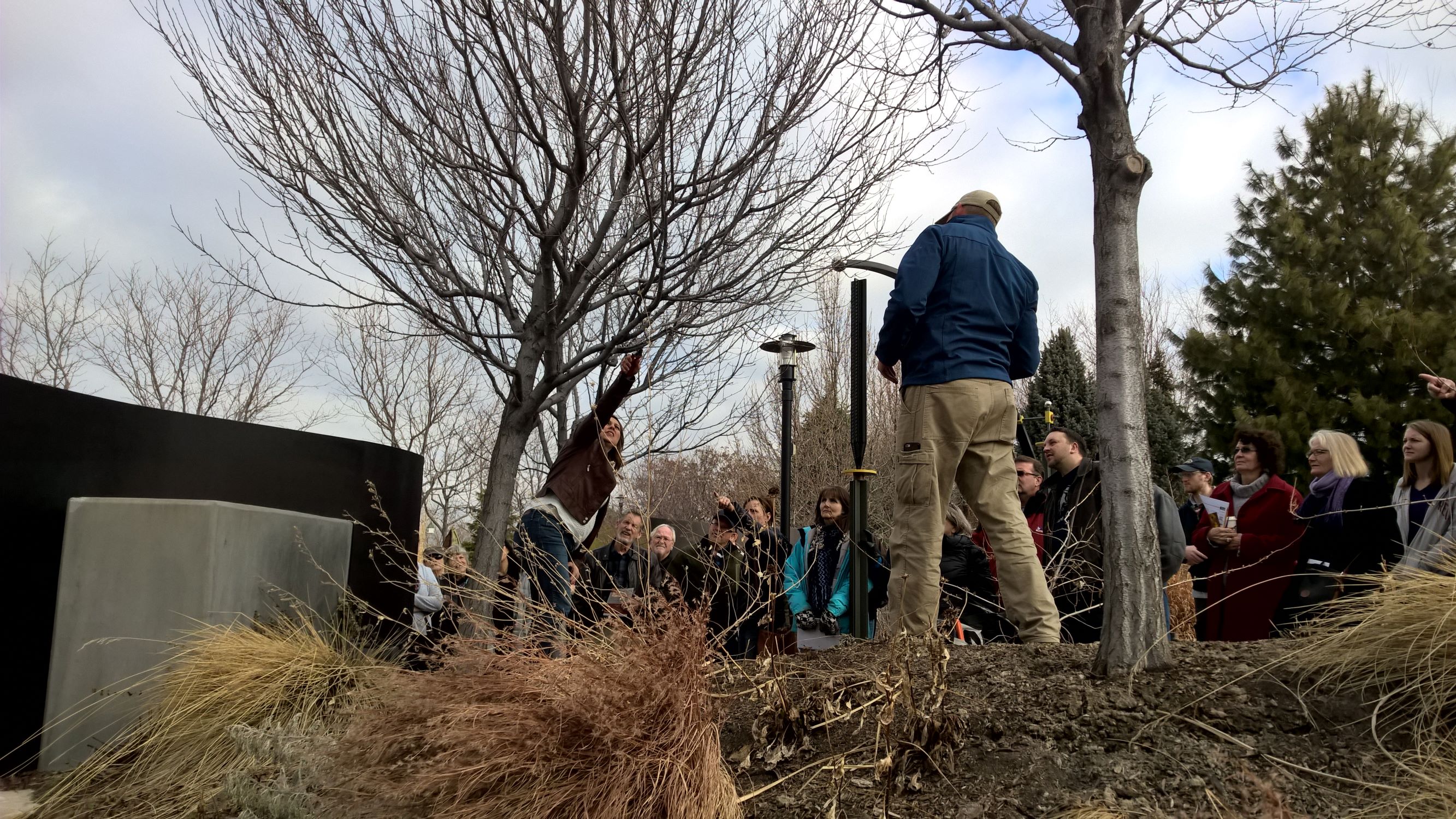 Tree Rotation Workshop Tree and Shrub Pruning Workshop